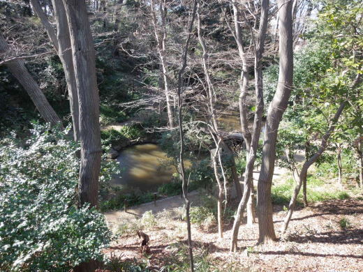 御留山01.JPG