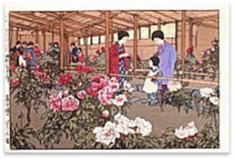 静観園.jpg